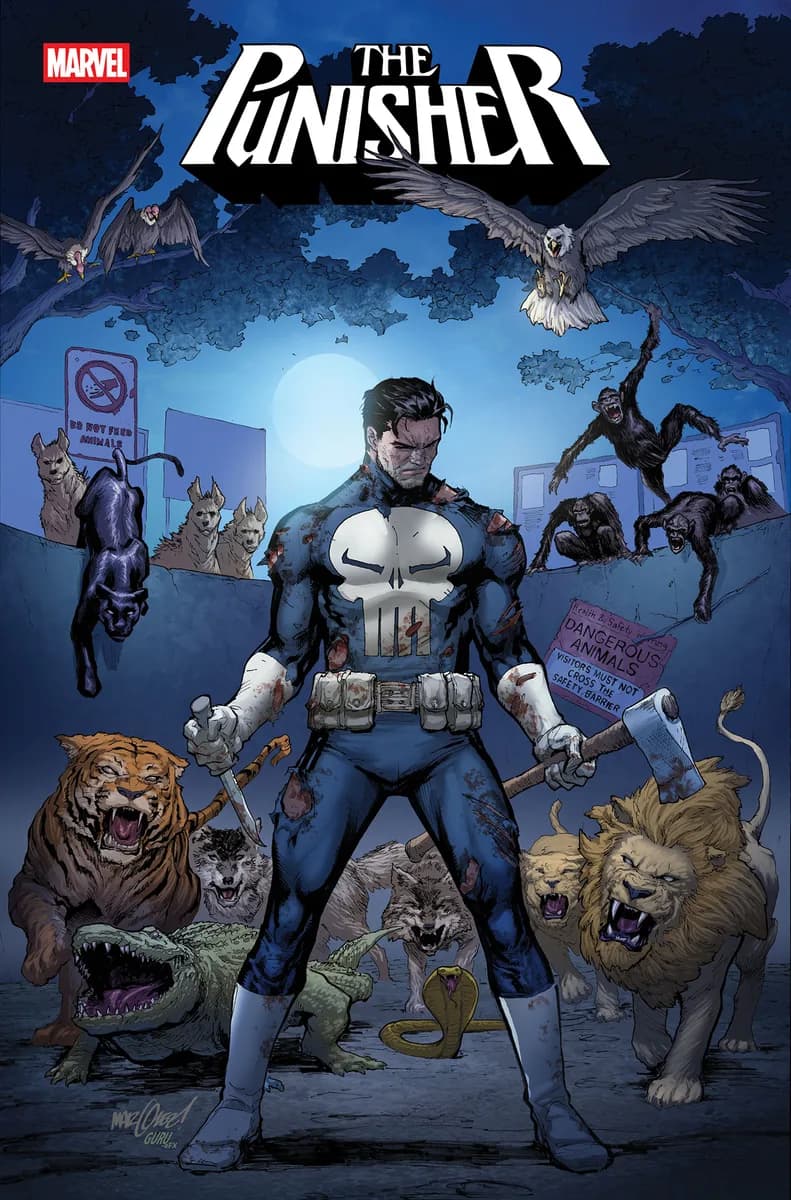 PUNISHER #11 COVER A cover